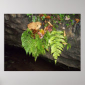 Leaves Poster (Voorkant)