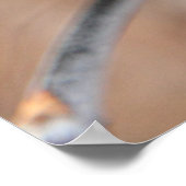 Leaves Poster (Hoek)