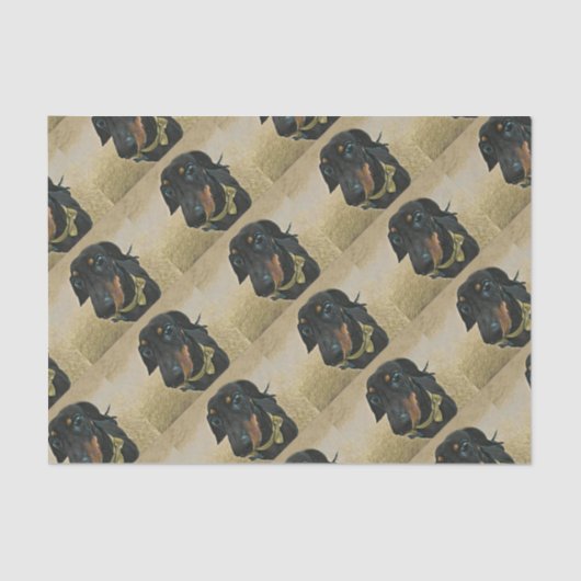 LeBron de Dachshund Wrapping paper. Tissuepapier (Voorkant)