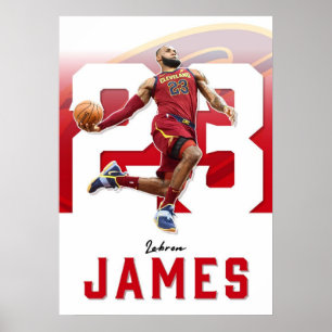 lebron james, nba, basketbal, king james, slam du poster