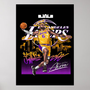 LeBron James, NBA, basketbal, King James, Slam du Poster