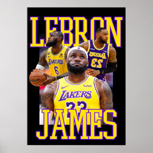 lebron james, nba, basketbal, king james, slam du poster