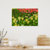 l'éclosion de tulipes dans un parc papier affiche (Cuisine)