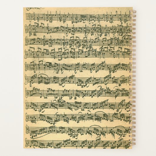 Leçon de musique Bach Manuscript modifiable (Dos)
