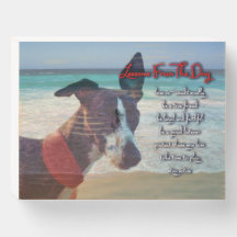 Leçon de vie du chien