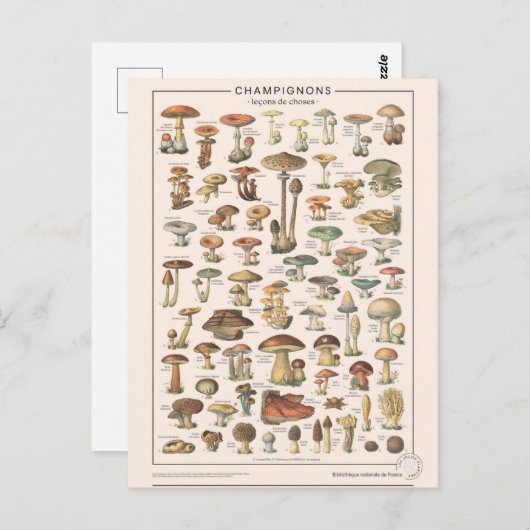 Leçons de choses les champignons briefkaart (Voorkant / Achterkant)