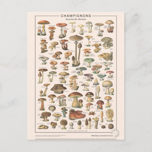 Leçons de choses les champignons briefkaart (Voorkant)