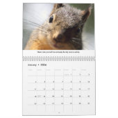 Leçons de nouvelle vie drôle calendrier écureuil (Jan 2026)