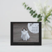 Leçons de vie confiantes d'une carte postale de ch (Debout devant)