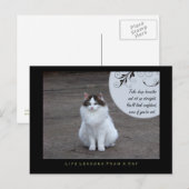 Leçons de vie confiantes d'une carte postale de ch (Devant / Derrière)