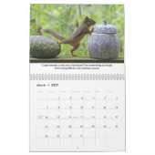 Leçons de vie de Squiggy le calendrier des écureui (Mar 2027)