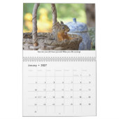 Leçons de vie de Squiggy le calendrier des écureui (Jan 2027)