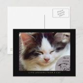 Leçons de vie Naps d'une carte postale de chat (Devant / Derrière)
