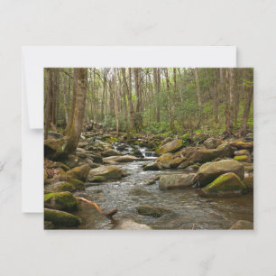 LeConte Creek in Great Smoky Mountains