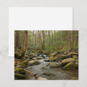 LeConte Creek in Great Smoky Mountains (Voorkant / Achterkant)