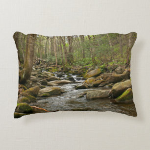 LeConte Creek in Great Smoky Mountains Accent Kussen