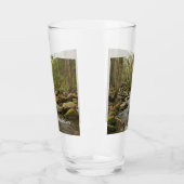 LeConte Creek in Great Smoky Mountains Glas (Links)