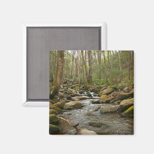 LeConte Creek in Great Smoky Mountains Magneet (Voorkant / Achterkant)