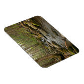 LeConte Creek in Great Smoky Mountains Magneet (Rechterzijde)