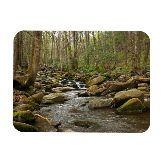 LeConte Creek in Great Smoky Mountains Magneet (Horizontaal)