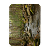 LeConte Creek in Great Smoky Mountains Magneet (Verticaal)