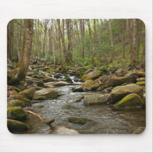 LeConte Creek in Great Smoky Mountains Muismat