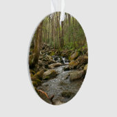 LeConte Creek in Great Smoky Mountains Ornament (voorkant)