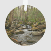 LeConte Creek in Great Smoky Mountains Ornament (achterkant)