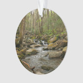 LeConte Creek in Great Smoky Mountains Ornament (voorkant)