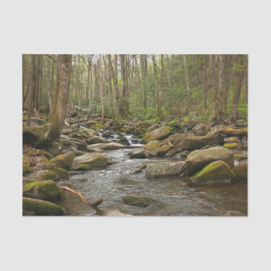 LeConte Creek in Great Smoky Mountains Tissuepapier (Voorkant)