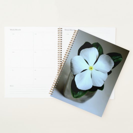 Lecteur de fleurs blanches (Devant avec enveloppe)