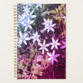 Lecteur de fleurs White Star (Devant)