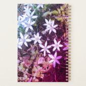 Lecteur de fleurs White Star (Dos)