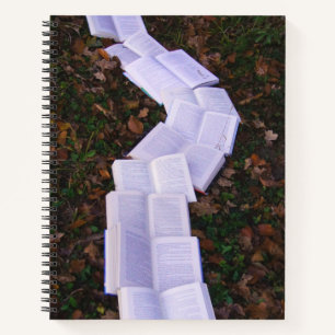 Lecteur de lecture de chemin de livre