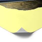 Lecture Ours - affiche (Coin)