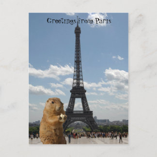 L'écureuil à Paris Carte postale