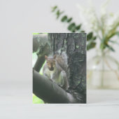 L'écureuil dans l'arbre L'art animal carte postale (Debout devant)