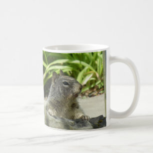 L'écureuil refroidit dans la Mug ombragée