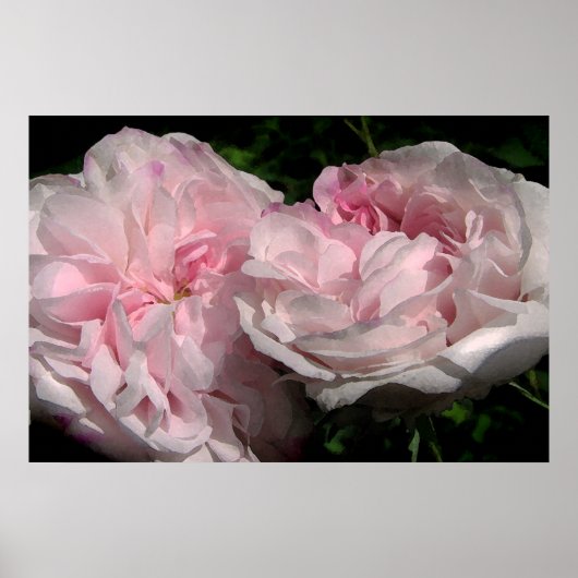 Leda Poster (Voorkant)