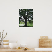 ledematen poster (Keuken)