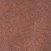 Leder, vinylsticker, op maat gesneden sticker (Voorkant)