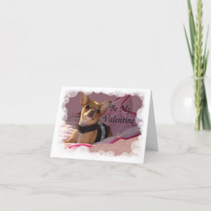 Lederen Roze Bubbels Lijst Be My Valentijn Feestdagen Kaart