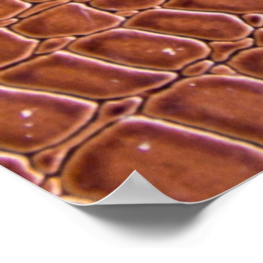 lederen textuur achtergrondstructuur, kunst, achte poster (Hoek)