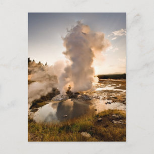 Ledge Geyser, Norris Geyser Basin Briefkaart