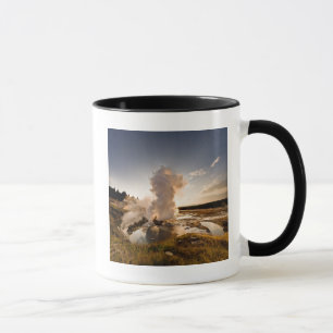 Ledge Geyser, Norris Geyser Basin Mok