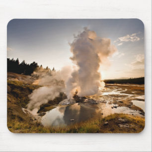 Ledge Geyser, Norris Geyser Basin Muismat