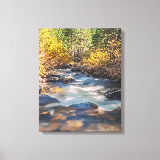 Lee Vining Creek Canvas Afdruk (Voorkant)