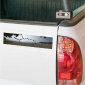 Leef Aloha Bumpersticker (Op Truck)