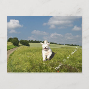 "Leef als..." Briefkaart boeddhistische (Matrix) v