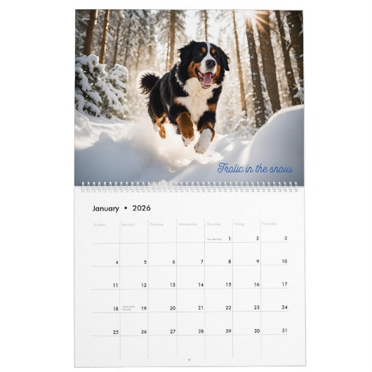 Leef als een Berner 2025 muurkalender Kalender (Jan 2026)